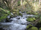 The Eagle-Benson Trail goes into this creek valley and then crosses the creek. I couldn't find the namne for this creek.