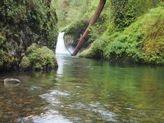 Punchbowl Falls on Eagle Creek is a perfect example of this type of waterfall.