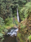 Another view looking down Eagle Creek to  Metlako Falls.