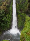 Tunnel Falls is one of my favorite parts of this trail.