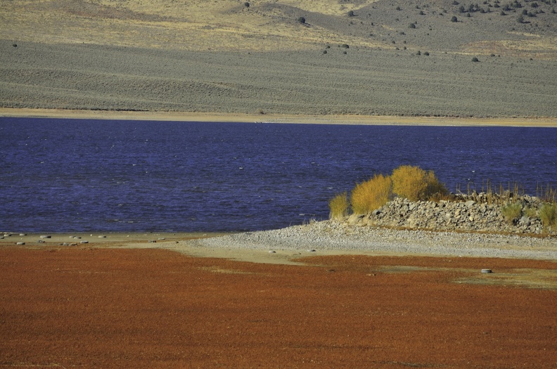 Bridgeport Marsh