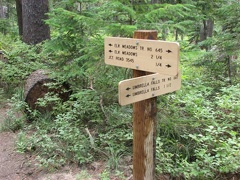 The trail to Elk Meadows passes by the junction to Umbrella Falls. It appears new trail signs were installed in 2010.
