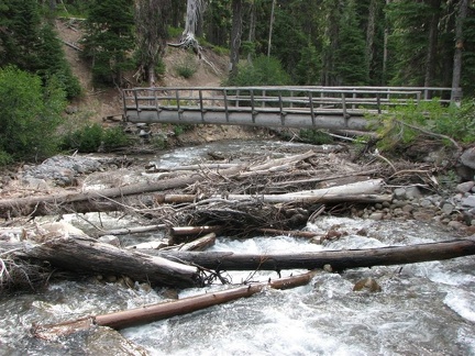 The first major creek the Elk Meadows Trail crosses is Clark Creek. This is an easy crossing with this nice log crossing.