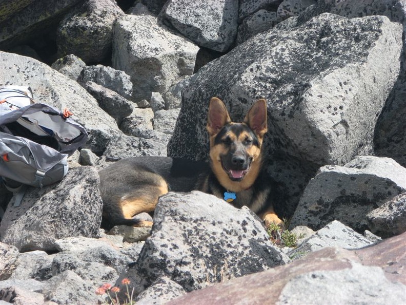 Jasmine takes a break in the rocks on Lamberson Butte. This is a great place stop for a break and to begin the return trip.