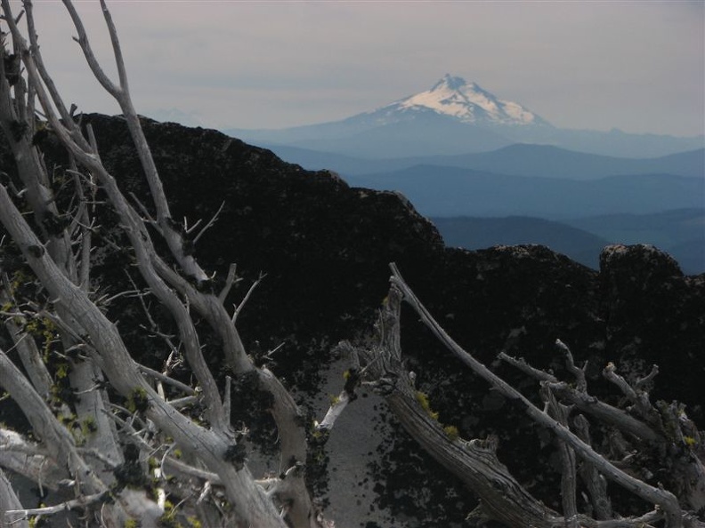 Trees fight to survive and eventually lose the fight with the elements that pound Lamberson Butte. Here a skeletal tree provides a foreground balance to Mt. Jefferson in the distance.