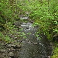 Elk Creek flows all year long near the trailhead.