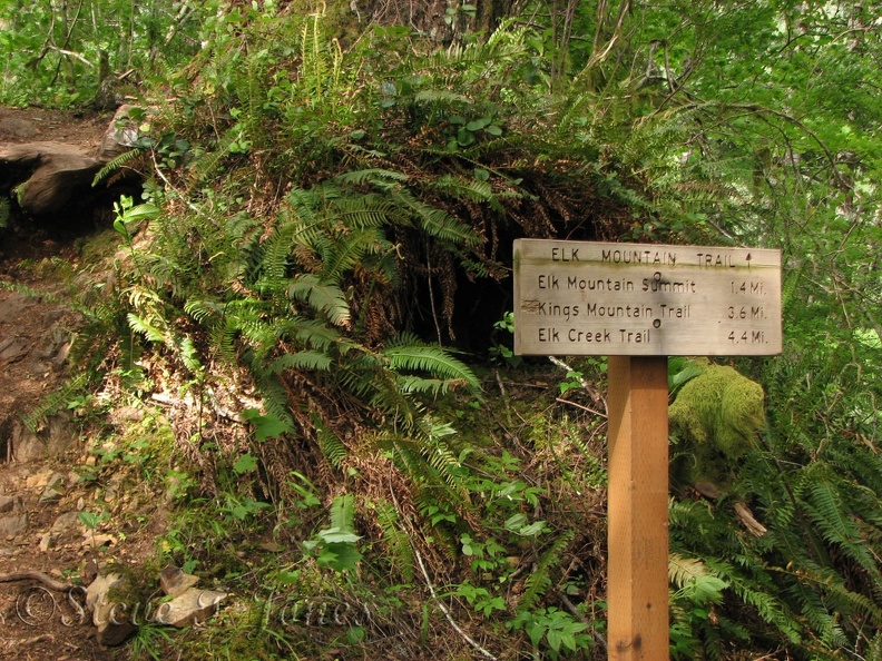 Trail sign just uphill from the Kings Mountain Trailhead.