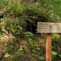 Trail sign just uphill from the Kings Mountain Trailhead.