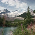 A turquoise lake provides a nice contrast to Mt. Rainier close to the Emmons Glacier View Trail.