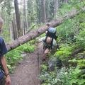 Drew ducks under one of the few deadfalls along the trail.