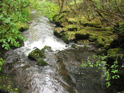 Here is a view of Falls Creek as it plunges over the falls.