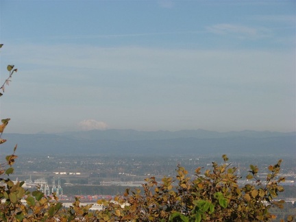 A wider angle of view showing Mt. Adams behind the Portland industrial area taken from near the junction of the BPA Road and Fire Lane 13.