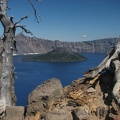 The skeleton of a long-dead tree graces the Garfield Peak Trail. Iconic Wizard Island is in the distance.