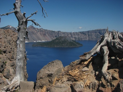 The skeleton of a long-dead tree graces the Garfield Peak Trail. Iconic Wizard Island is in the distance.