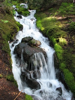 A pleasant waterfall graces the Glacier Basin Trail.