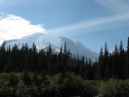 There are some nice views of Mt. Rainier from the Glacier Basin View Trail.