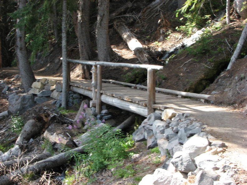 A fine example of one of the bridges along the rebuilt section of the Glacier Basin Trail.