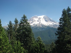 Mt. Rainier viewed from a knob above the first sloping meadow along the Glacier View Trail.