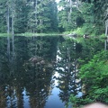 West Lake is a jewel of a lake nestled in the trees below Glacier View. The lake bottom has a moderate slope and it makes a great place for a summer swim in a cold lake.