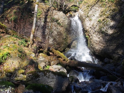 Greenleaf Falls WA 025c