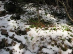 Fall snow on the trail. This are can get deep snows and people have been lost in the area.