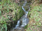 A small tributary stream for Rock Creek along the Tarbell Trail.