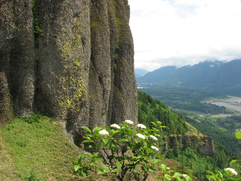 Basalt Cliffs along the Hamilton Mountain Trail