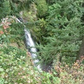 Rodney Falls viewed from the overlook along the Hamilton Mountain Trail.