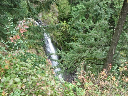 Rodney Falls viewed from the overlook along the Hamilton Mountain Trail.