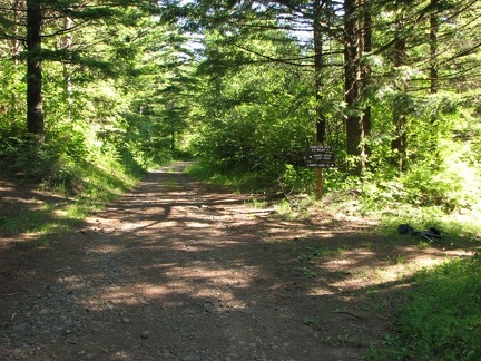 Hardy Ridge Trail at the 4-way junction. The sign shows the junction for the Hardy Ridge Loop Trail and the Lower Loop Trail.