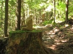 The Washington Trail Association rebuilt this section of the Hardy Ridge Loop Trail. I think some of the volunteers made this decoration along the upper portion of the eastern part of the loop.