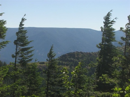 A view from the Hardy Ridge Trail looking into the Columbia River Gorge. The trees show how strong the east wind can blow. Note the branches missing from the east sides of the trees.