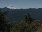 Looking south to Mt. Hood from Hardy Ridge.