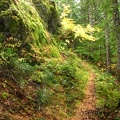 The narrow trail passes beneath Horseshoe Ridge.