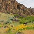 Spring flowers bloom in patches around Horsethief Butte.