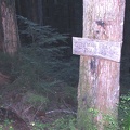 Junction sign for the Huffman Trail above Siouxon Creek