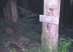 Junction sign for the Huffman Trail above Siouxon Creek