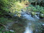 Wildcat Creek along the Huffman Peak Trai.