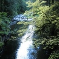 Siouxon Creek on the Siouxon Creek Trail.