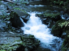 Waterfall on Siouxon Creek.