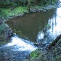 Logjam waterfall on Siouxon Creek.