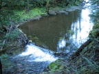 Logjam waterfall on Siouxon Creek.