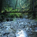 Log bridge across a small stream along the Siouxon Creek Trail.