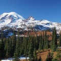 Here is the view you have been waiting for. Little Tahoma is on the right and if you have binoculars, you might be able to see Camp Muir on the left.