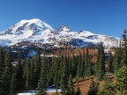 Here is the view you have been waiting for. Little Tahoma is on the right and if you have binoculars, you might be able to see Camp Muir on the left.