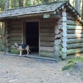 Jasmine looks over the Hiker's Camp at the terminus of the Clatsop Loop Trail. Lewis and Clark visited this area.