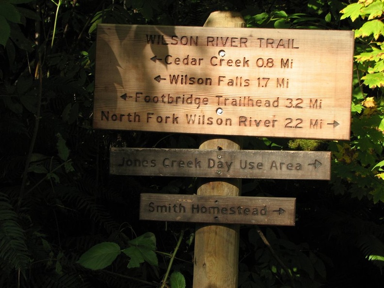 Trail sign along the Wilson River Trail showing routes and destinations along the trail. This sign is across from the Tillamook Forest Center.