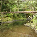 Log bridge over Cedar Creek along the Wilson River Trail. Look for salmons spawning in the fall in the clear waters of this creek.