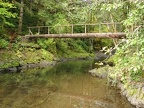 Log bridge over Cedar Creek along the Wilson River Trail. Look for salmons spawning in the fall in the clear waters of this creek.