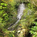 Wilson Falls along the Wilson River Trail.
